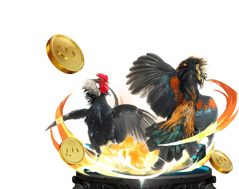 Thương hiệu king79 4 uy tín